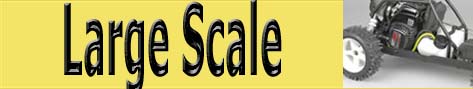 Large scale button